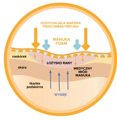 MANUKA FOAM AIR aplikacja